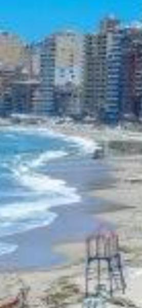 شقة الاسكندريه
